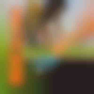 Detector de metales portátil con vibración sonora | HANDYHUNT