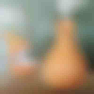 Humidificador de madera | HUMISTER